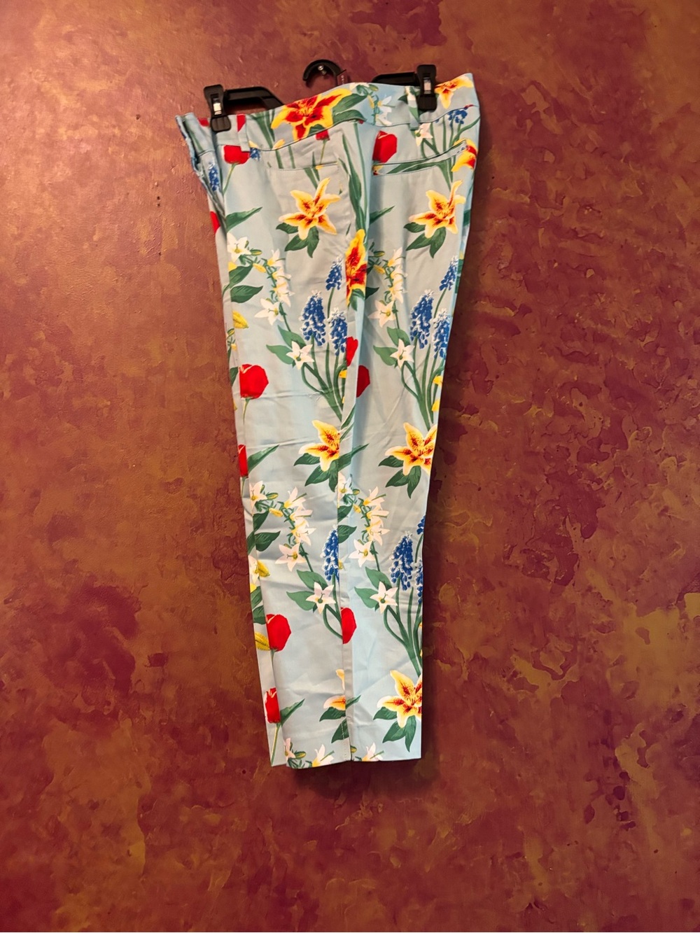 NY & Company Light Blue Floral Crop Pants